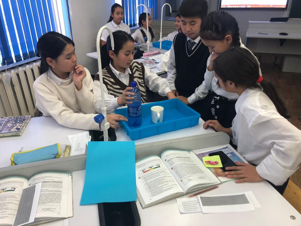 "Заттардың жіктелуі"  ашық сабағы